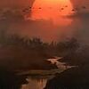 （映画）地獄の黙示録・特別完全版
