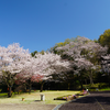 県立相模原公園 せせらぎの園地区（相模原市南区下溝）