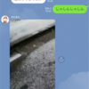 雪雪大雪