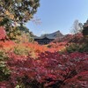 京都の紅葉と混雑