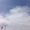 梅雨入り前の貴重な晴れ間