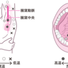 ヘルパーができる医行為でない行為②体温測定