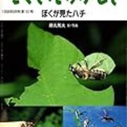 ぼくが見たハチ 第161号 こどもと読むたくさんのふしぎ ぼくが見たハチ 第161号 こどもと読むたくさんのふしぎ