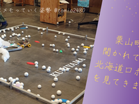 栗山町で開かれている北海道ロボコンを見てきました