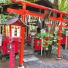 縁結びだけじゃない！？ご利益尽くしの野宮神社へ！