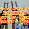ペルージャ×サントリー見逃し配信まとめ｜TVer・FOD・U-NEXTどこで観られる？【2025最新】