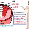 背中側を活かすことが理想状態で立つ要素のひとつ