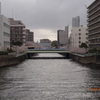 目黒川遡行　品川海上公園〜目黒川緑道分岐