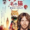 猫愛があふれる映画：「ボブという名の猫 幸せのハイタッチ」（2016年　イギリス）A Movie Full of Affection for Cats: A Street Cat Named Bob(2016, UK)