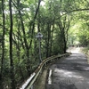 瀬野八の裏側を自転車で下ってみる