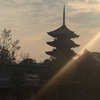 きれいな輦庫（レンコ）がここにある！　東寺の八重桜