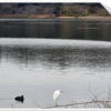 袖ヶ浦公園の近況