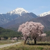 アルプス安曇野　春の風景