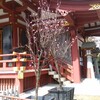 素盞雄神社再び