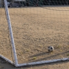  なぜ、子どもたちはサッカーから離れていくのか