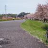 手賀沼早朝サイクリング