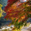 御嶽～沢井　紅葉の多摩川沿いを歩く－６