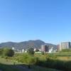 藻岩山に登りました（9回目）