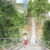 『海街diary 8 恋と巡礼』読了