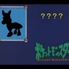 【全ポケ語れる説】うさぎうまとはなんぞや？