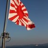 平成27年度観艦式