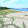 室積半島（８）室積海岸＜２＞防風保安林～風害の阻止と安らぎの空間（山口県光市室積）