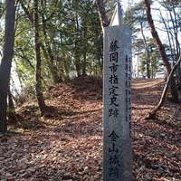 平井金山城　（群馬県　藤岡市）