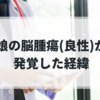 娘の脳腫瘍（良性）が発覚した経緯