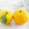 柚子の香りが奏でるポエム〜フレッシュな柚子の香りを楽しむ
