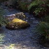 水風景