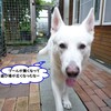 みんな集まれ〜part３