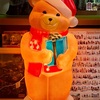 🐻🎅