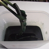 プラスチック ワーム