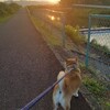 シャンプー後、七輪でバーベキューのはずが…😭