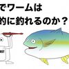 青物用ワームは釣れるのか