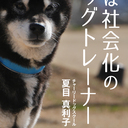 犬の森　しばいぬ部