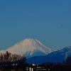 横浜から望む四季の富士