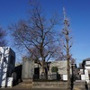 2021/01/07 赤塚散歩 04 板橋区№41遺跡（荒塚）/松月院大堂/赤塚八幡神社/泉福寺/庚申塔（赤塚5）/板橋区赤塚支所/赤塚しのがやと公園