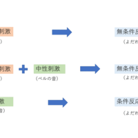 づけ レスポンデント 条件
