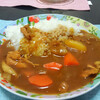 今日の晩飯　カレーライスを作ってみた