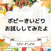 幼児ポピー きいどり をお試ししてみました。3歳息子がポピーデビュー！