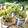 Garden’ｓ Member　～Growing List～