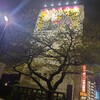 常圓寺の葉桜…