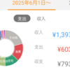2025年6月分の家計簿公開！！