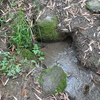 北本市　横田薬師堂下湧水群と旧河道の湧水