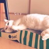 うめっこ＊ダラけ具合UPしてません？