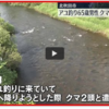 【クマイシス？！＝頻発するクマ被害……7／7－8　アユ釣りの65歳男性　クマに襲われてケガ　秋田】＃428