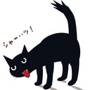 ボスを紹介します