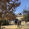 11月の松山城へ・・観光客も戻ってきました