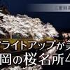 七谷川や平の沢池も！夜桜ライトアップが美しい亀岡の桜名所４選